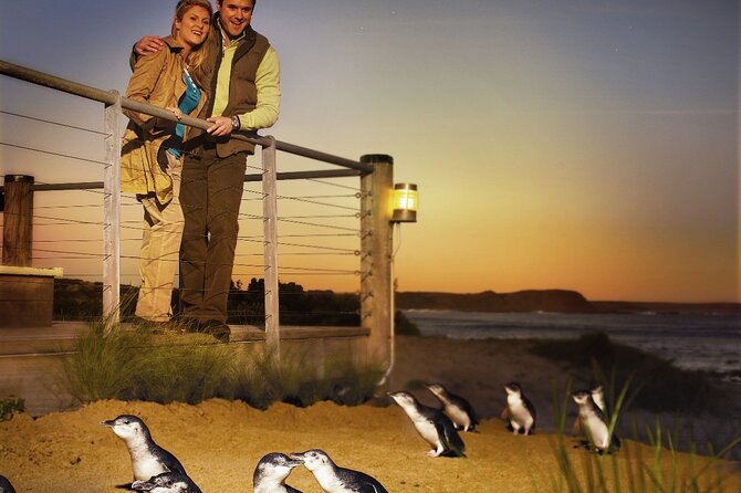 Phillip Island & Penguin Parade Afternoon Eco Tour from Melbourne - Cape Woolamai in summer