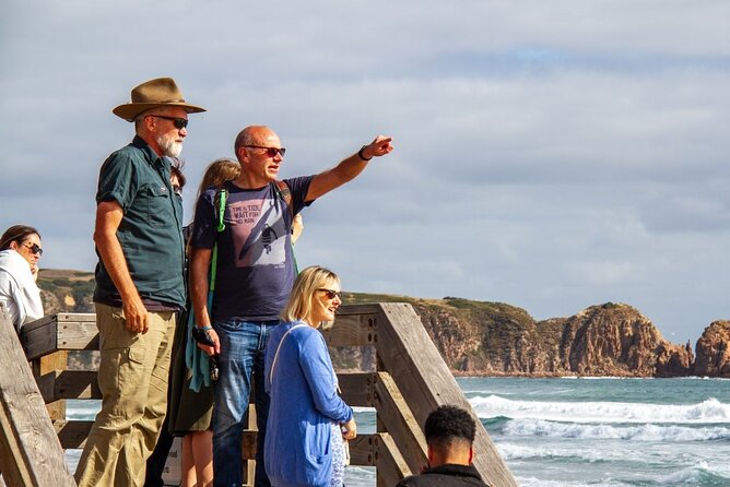 Phillip Island & Penguin Parade Afternoon Eco Tour from Melbourne - The optional Puffing Billy and Penguin combination