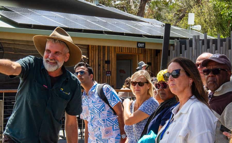 Phillip Island Penguin Parade with Expert Local Guide - Meals, comfort, and what you need to carry