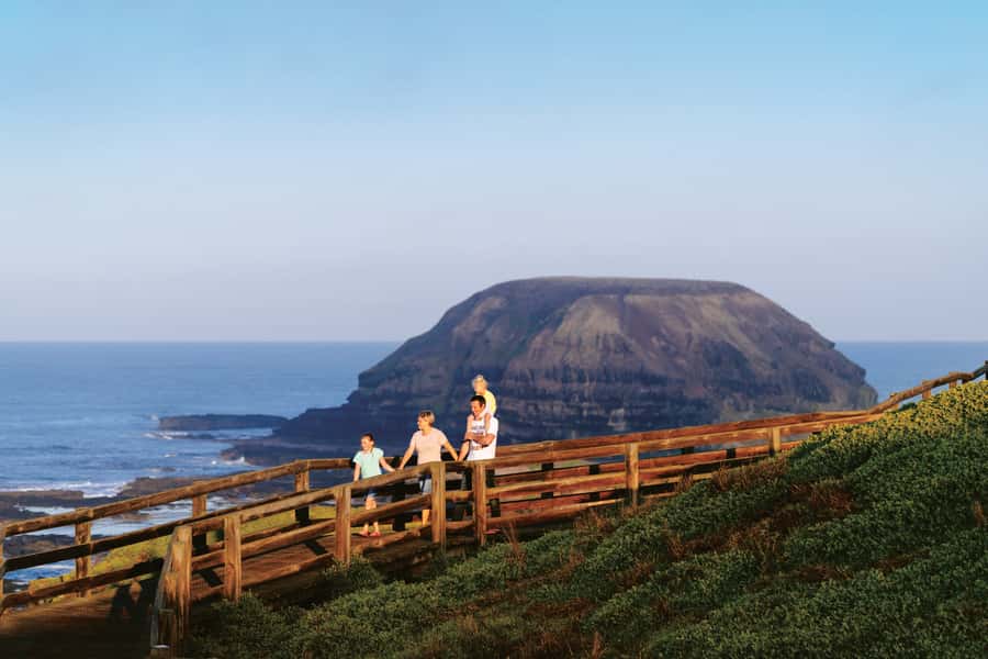 Phillip Island: Penguins and Wildlife Full-Day Tour - The little penguins are worth the late night