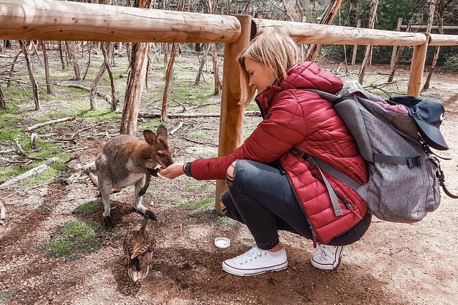 Phillip Island Penguins & Wildlife Day Tour from Melbourne - Why the penguin parade is worth the late return