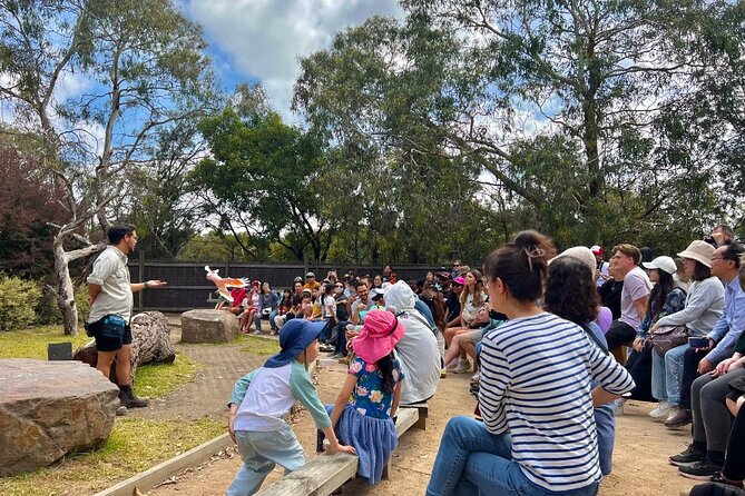Phillip Island Penguins & Wildlife Day Tour from Melbourne - A long road day made easier by the right guide