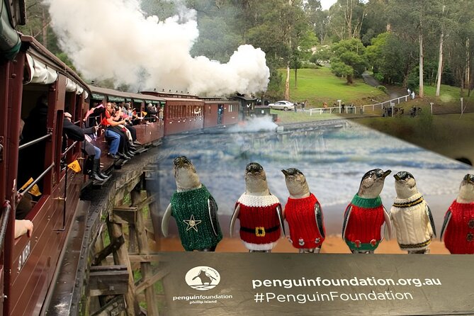 Phillip Island Penguins & Wildlife Day Tour from Melbourne - What to pack for the 12 to 14 hour outing