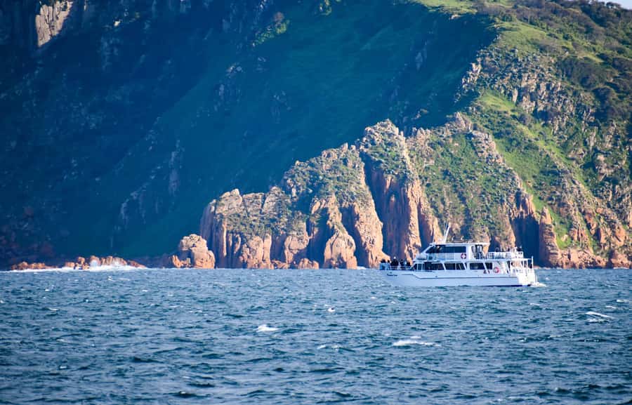 Phillip Island: Whale Watching Boat Tour - What the Captain and Crew Add