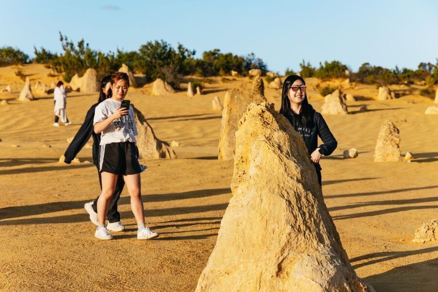 Pinnacles Desert: Sunset BBQ & Stargazing Tour +Sandboarding - Sunset, wine, and a proper BBQ