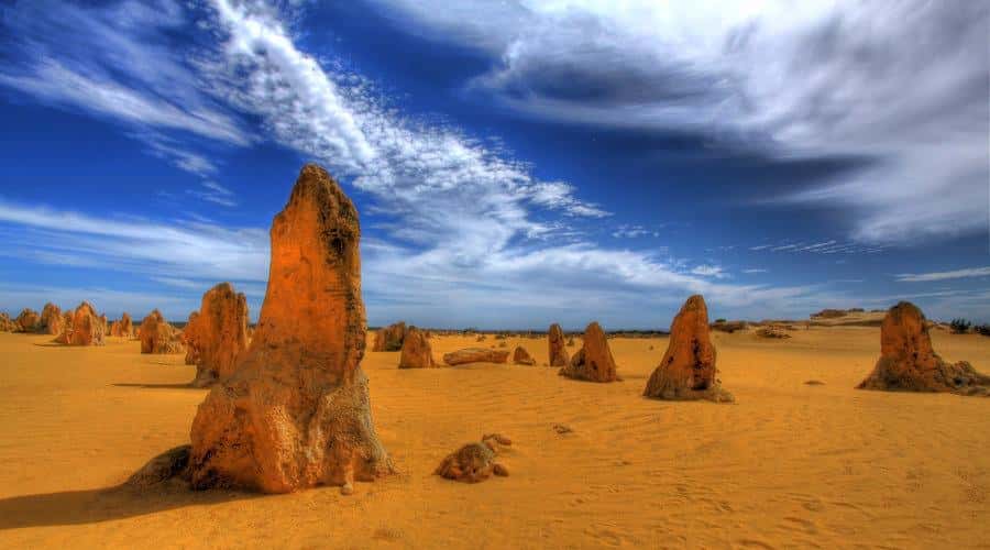 Pinnacles, Koalas & Sandboarding Tour Day Trip from Perth - Why this Perth day trip covers so much ground