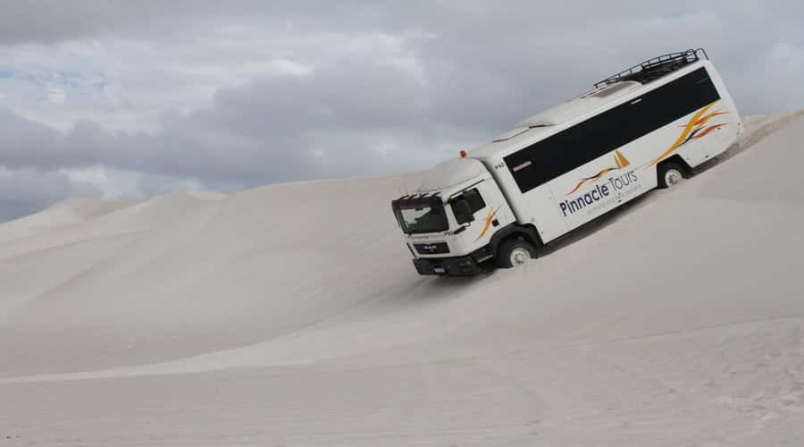 Pinnacles, Koalas & Sandboarding Tour Day Trip from Perth - The road to Cervantes and the lobster processing tour