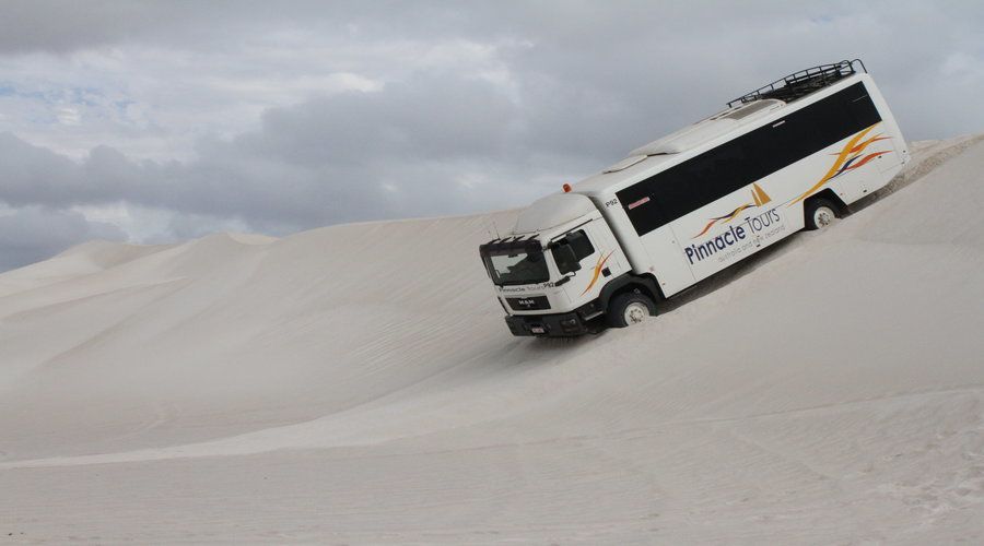 Pinnacles, Koalas & Sandboarding Tour Day Trip from Perth - Walking among the limestone pillars at the Pinnacles
