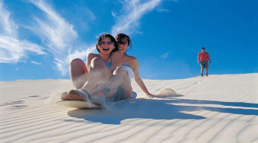 Pinnacles, Koalas & Sandboarding Tour Day Trip from Perth - Caversham Wildlife Park: koalas, wombats, and kangaroos