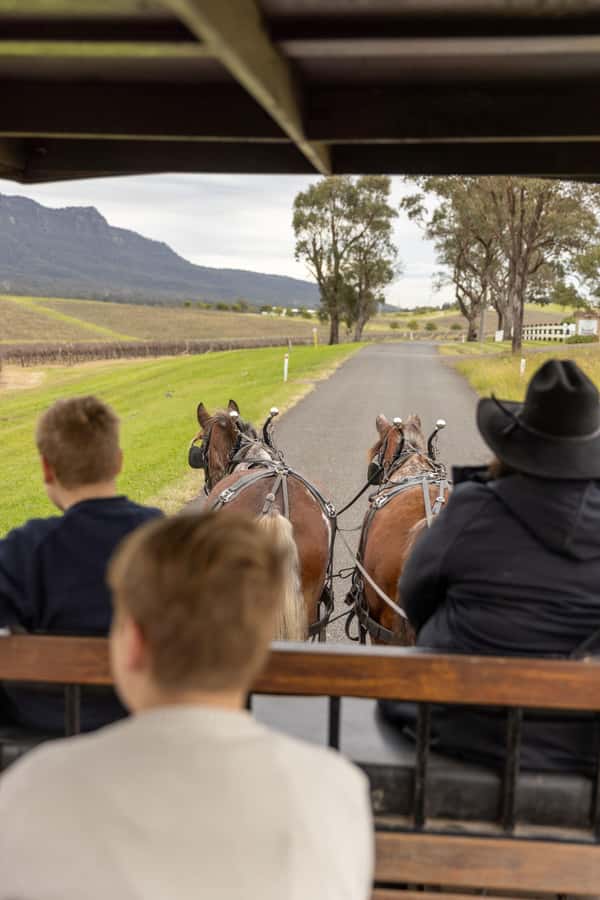 Pokolbin: Harvest the Hunter Horse Drawn Carriage Tour 3hrs - Key points at a glance