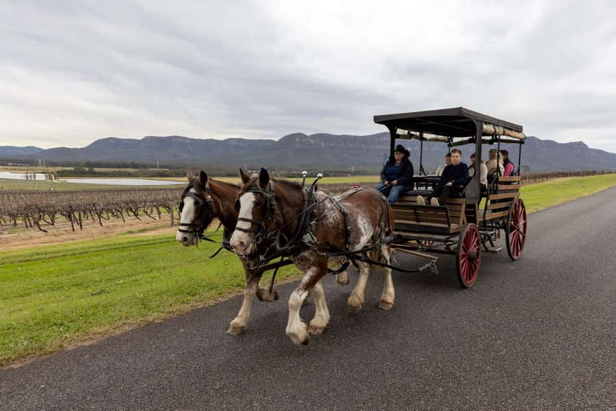 Pokolbin: Harvest the Hunter Horse Drawn Carriage Tour 3hrs - Why the carriage changes a Hunter Valley wine tour