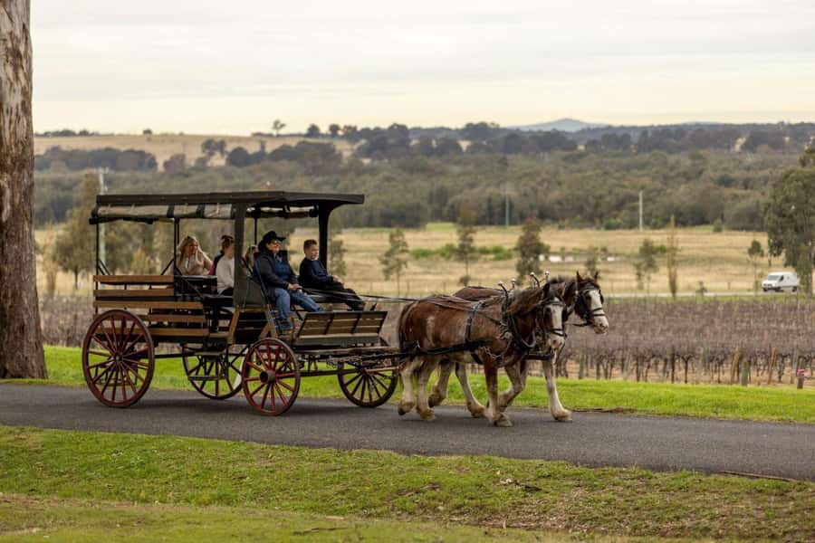 Pokolbin: Harvest the Hunter Horse Drawn Carriage Tour 3hrs - First stop: wine, horses, and the Pokolbin roads