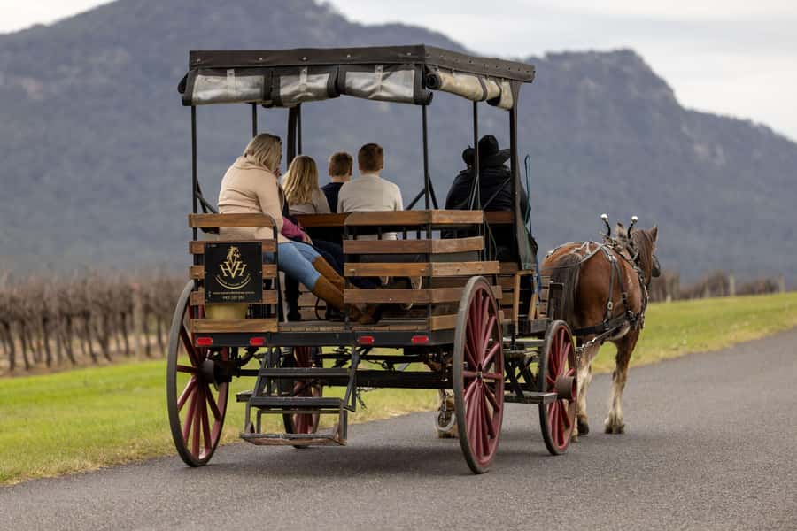 Pokolbin: Harvest the Hunter Horse Drawn Carriage Tour 3hrs - Meeting at Wine House Hunter Valley