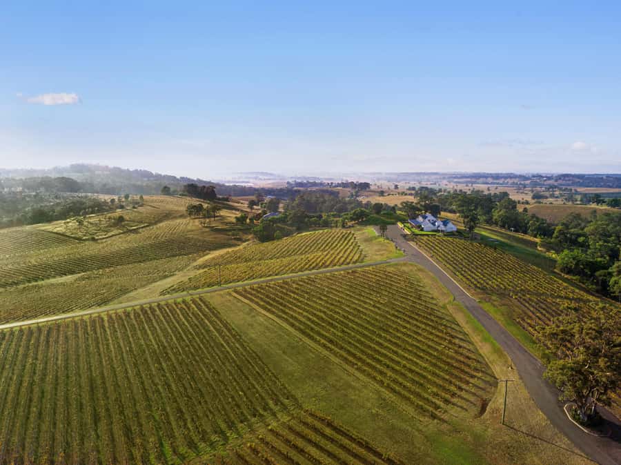 Pokolbin: Picnic & Wine Tasting at Audrey Wilkinson Vineyard - Audrey Wilkinson’s View Comes First