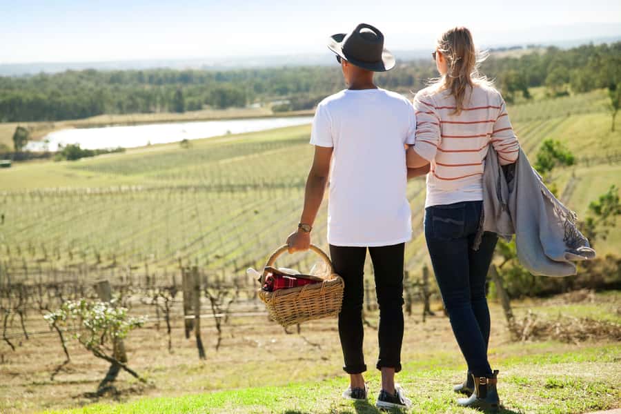Pokolbin: Picnic & Wine Tasting at Audrey Wilkinson Vineyard - The 90-Minute Visit, Step by Step