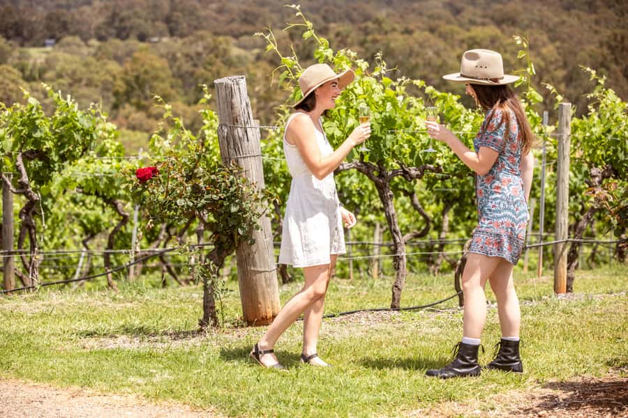 Pokolbin: Picnic & Wine Tasting at Audrey Wilkinson Vineyard - Choosing Your Picnic Spot