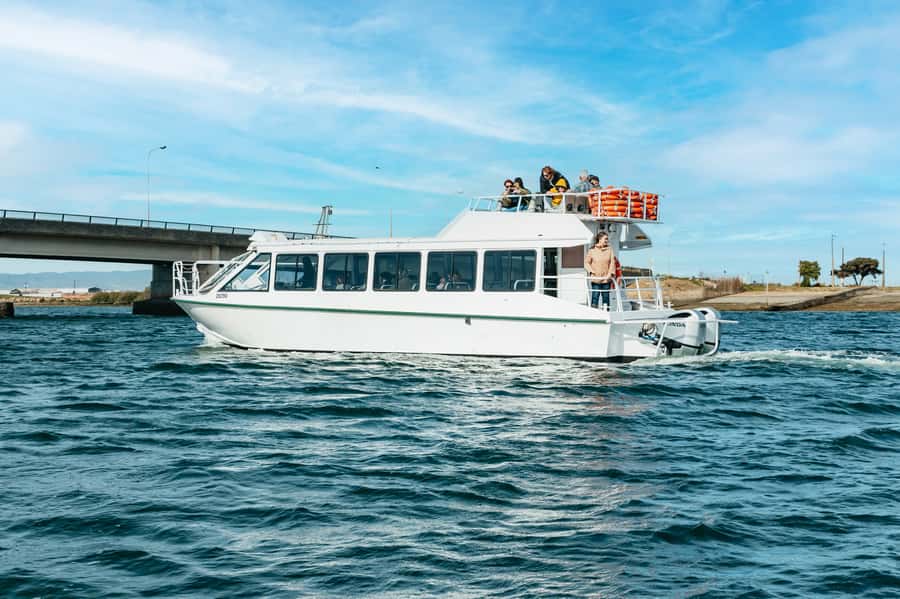 Port Adelaide: Dolphin and Ships Graveyard Cruise - Is $62 per person good value?
