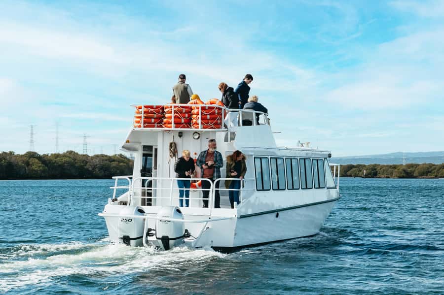 Port Adelaide: Dolphin and Ships Graveyard Cruise - What the 90-minute route covers