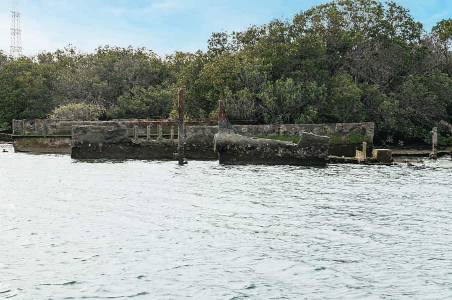 Port Adelaide: Dolphin and Ships Graveyard Cruise - Passing the International Bird Sanctuary