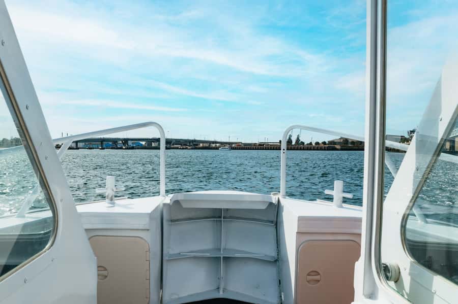 Port Adelaide: Dolphin and Ships Graveyard Cruise - The guides make the difference