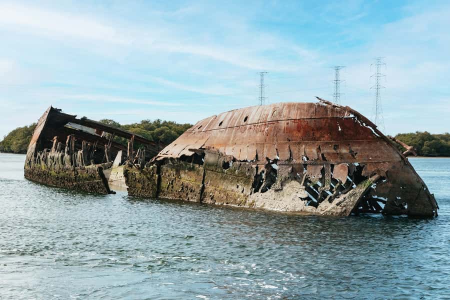 Port Adelaide: Dolphin and Ships Graveyard Cruise - Meeting at the lighthouse on McLaren Parade