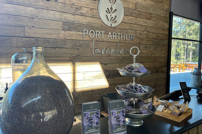 Port Arthur, Richmond and Lavender Active Day Tour - The guides and the small bus experience