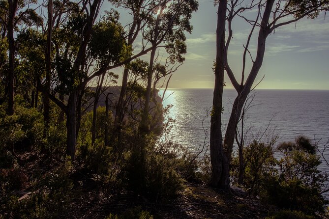 Port Arthur, Richmond and Tassie Devils Active Tour from Hobart - Port Arthur turns the afternoon serious