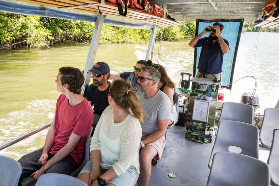 Port Douglas: Afternoon Daintree Tour w/ Wildlife Cruise - One hour on the Daintree River