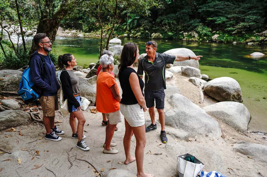 Port Douglas: Best of Daintree Rainforest Day Tour - The day’s best features at a glance