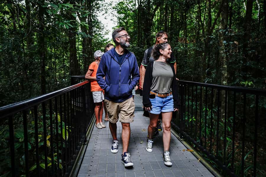 Port Douglas: Best of Daintree Rainforest Day Tour - The boardwalk that explains how the forest lives