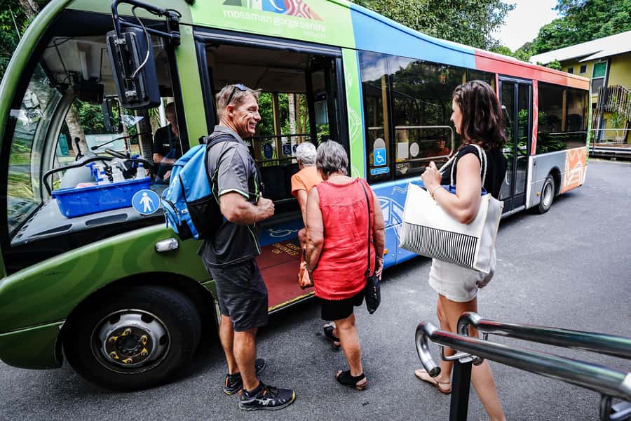 Port Douglas: Best of Daintree Rainforest Day Tour - Cape Tribulation Beach and the rainforest meets the reef