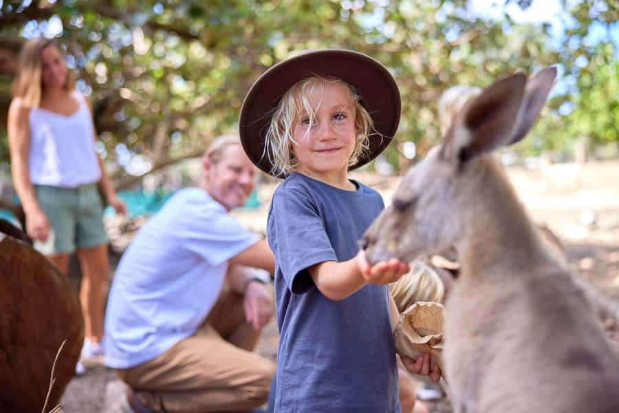 Port Douglas: Breakfast with the Birds - Birds that make breakfast feel like a show