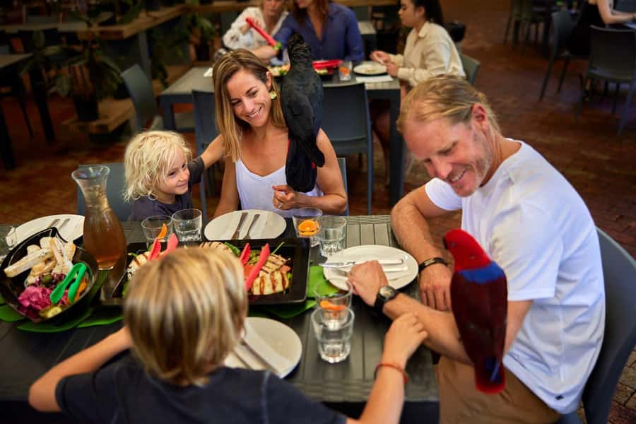 Port Douglas: Breakfast with the Birds - Kangaroos, wallabies, reptiles, and more after breakfast