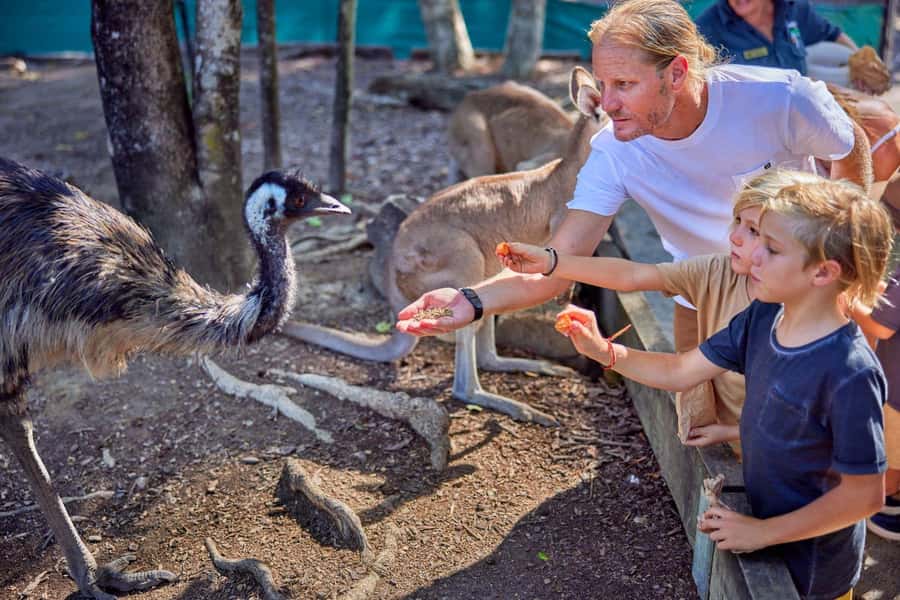 Port Douglas: Breakfast with the Birds - What arrives on the breakfast platters