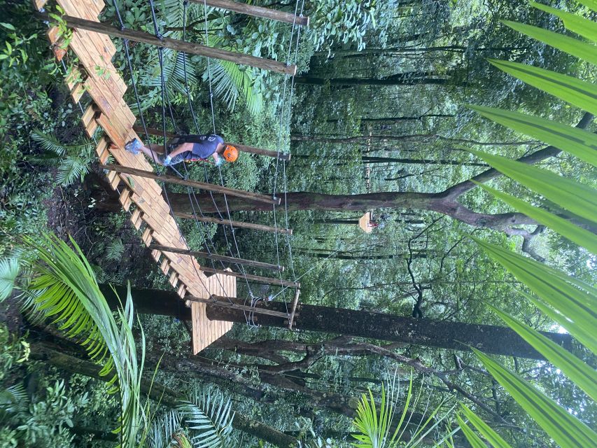Port Douglas: Daintree National Park Tour, Cruise, & Zipline - What $211 gets you