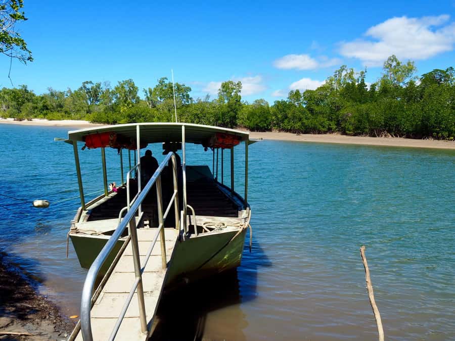 Port Douglas: Daintree Rainforest and Cape Tribulation Tour - Tropical ice cream at the Daintree Ice Cream Company
