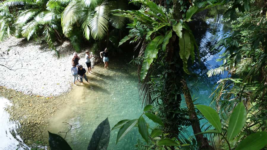Port Douglas: Daintree Rainforest and Cape Tribulation Tour - Mossman Gorge and the Mossman River