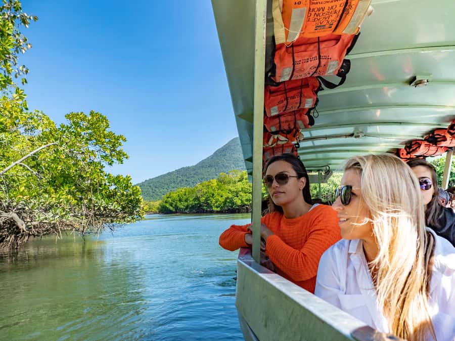 Port Douglas: Daintree Rainforest and Cape Tribulation Tour - Crossing the Daintree River by ferry