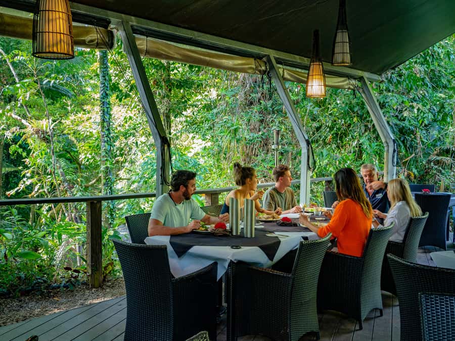 Port Douglas: Daintree Rainforest and Cape Tribulation Tour - Beach walks where rainforest meets reef