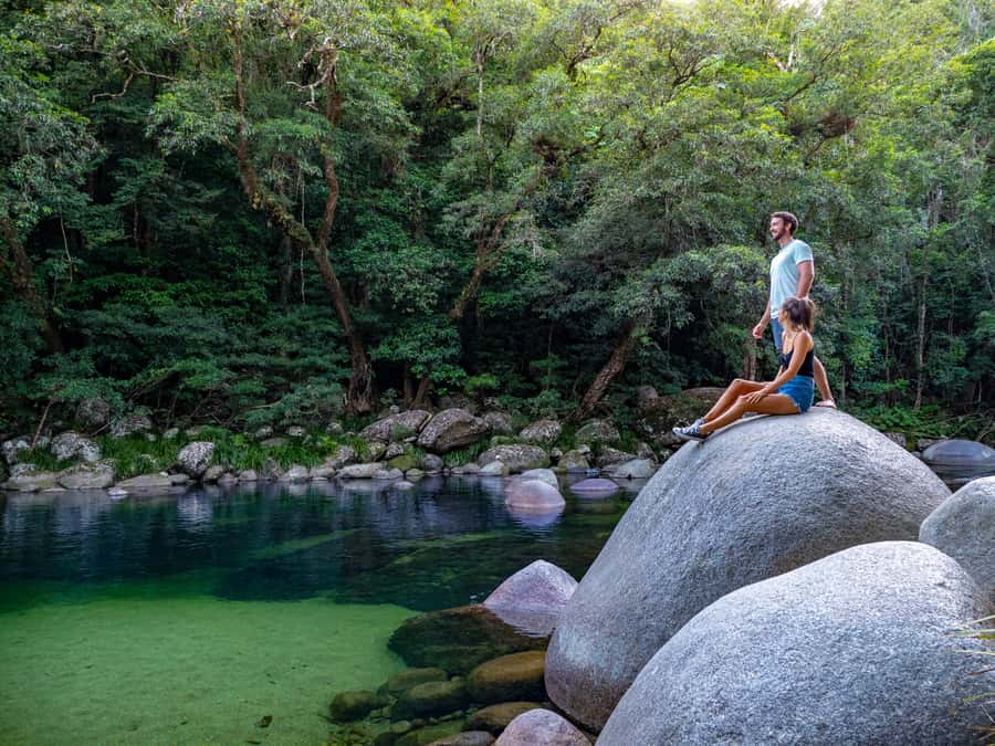 Port Douglas: Daintree Rainforest and Cape Tribulation Tour - A comfortable ride north from Port Douglas