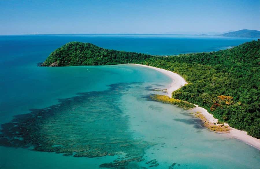 Port Douglas: Daintree Rainforest and Mossman Gorge Tour - Morning tea beside the river