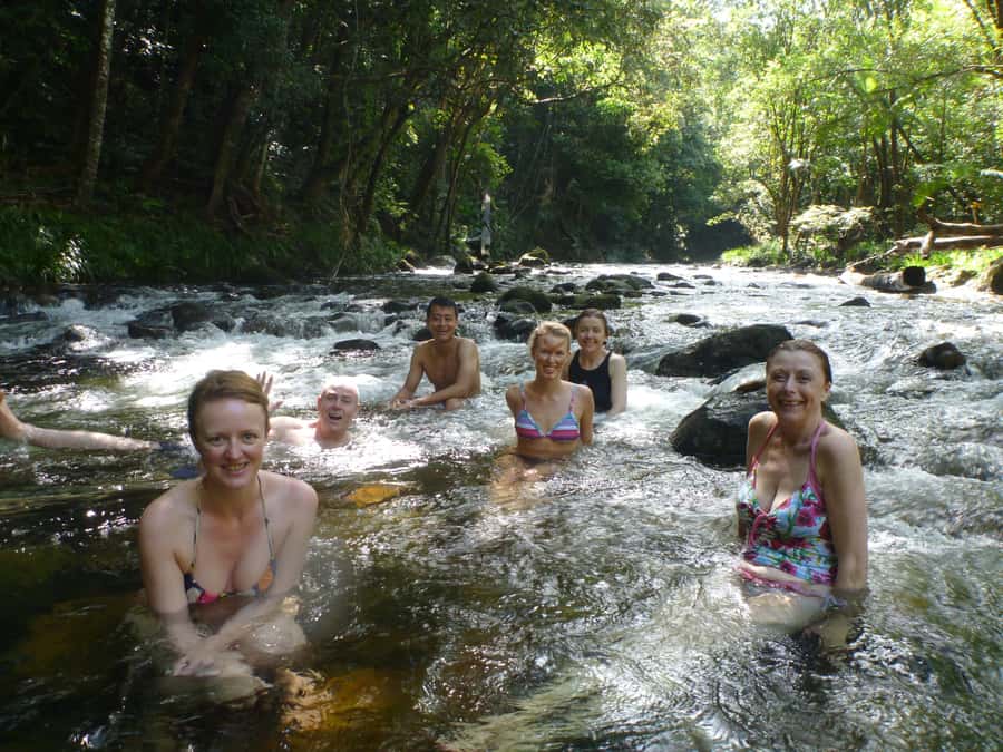 Port Douglas: Daintree Rainforest and Mossman Gorge Tour - Cape Tribulation and Kulki Lookout
