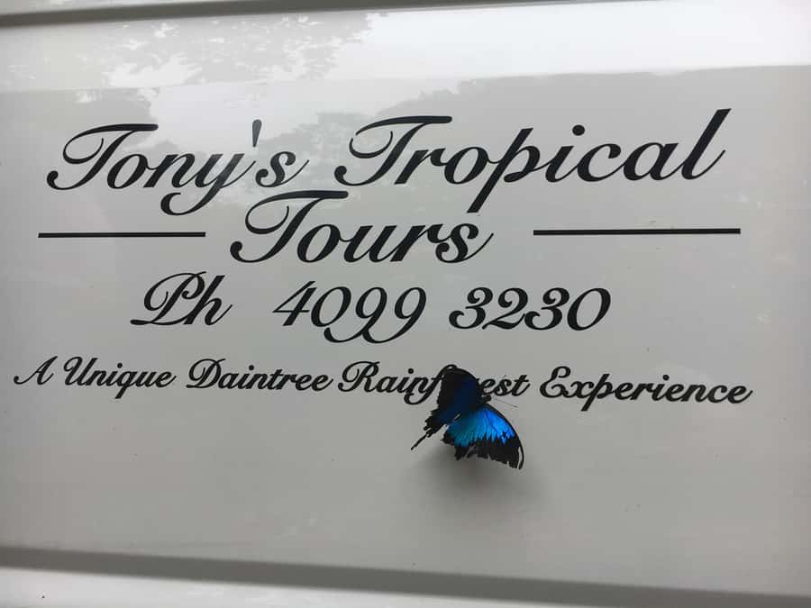 Port Douglas: Daintree Rainforest and Mossman Gorge Tour - Noah Valley, the tour’s most distinctive stop
