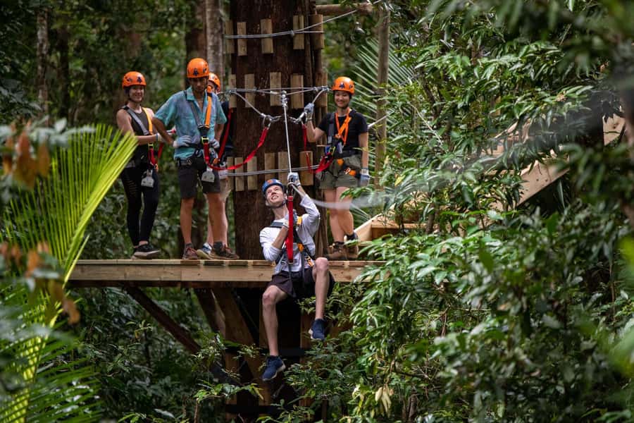 Port Douglas: Daintree Rainforest Canopy Ziplining Tour - Platforms as high as 15 metres, with a higher safety limit to consider