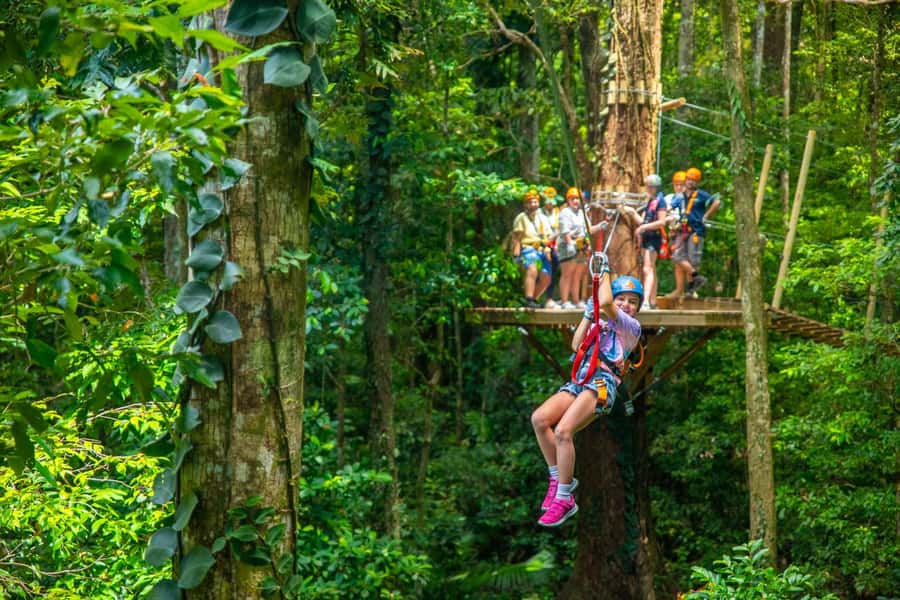 Port Douglas: Daintree Rainforest Canopy Ziplining Tour - Ziplines from 15 to 130 metres