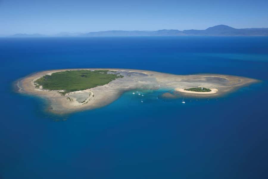 Port Douglas: Low Isles Afternoon Cruise on Luxury Catamaran - Leaving Port Douglas on a luxury catamaran