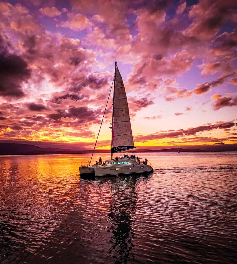 Port Douglas: Low Isles Afternoon Cruise on Luxury Catamaran - Canapés and a Daintree sunset on the way home