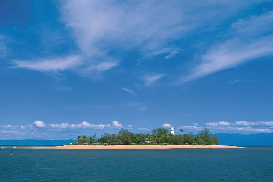Port Douglas: Low Isles Afternoon Cruise on Luxury Catamaran - Crew service and the feel on board