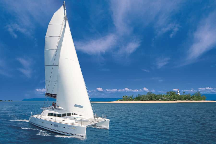 Port Douglas: Low Isles Afternoon Cruise on Luxury Catamaran - Three hours in the Low Isles lagoon