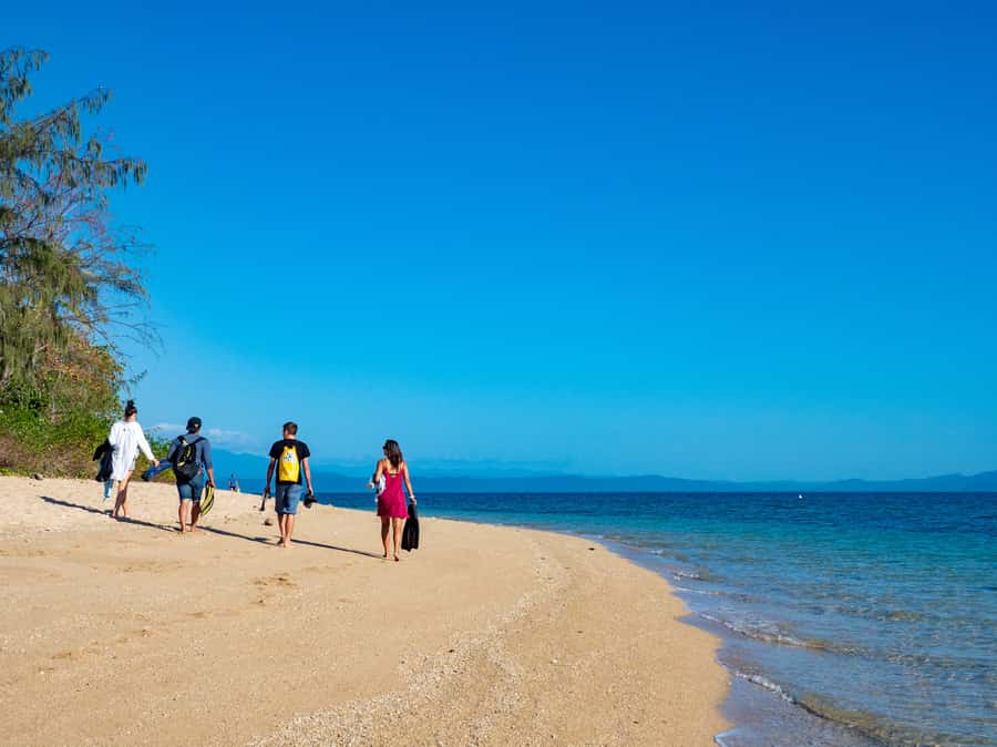 Port Douglas: Low Isles Glass Bottom Boat & Snorkeling Tour - Why this short reef trip works
